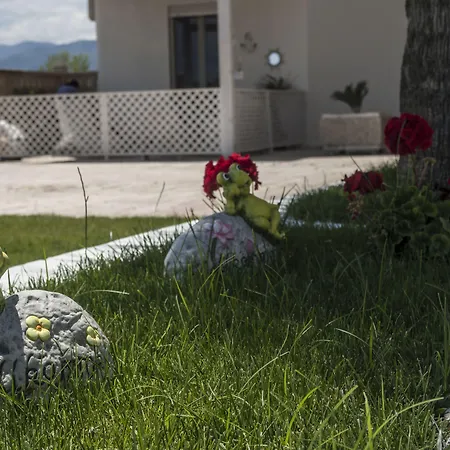 Holiday ゲストハウス 4*